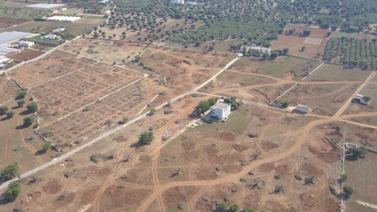 Nuovo ospedale Fasano-Monopoli: completato l'espianto degli ulivi VIDEO - Osservatorio Fasano
