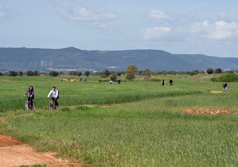 Parco delle Dune Costiere: Ostuni e Cisternino chiedono l'allargamento, Fasano si tira fuori - Osservatorio Fasano