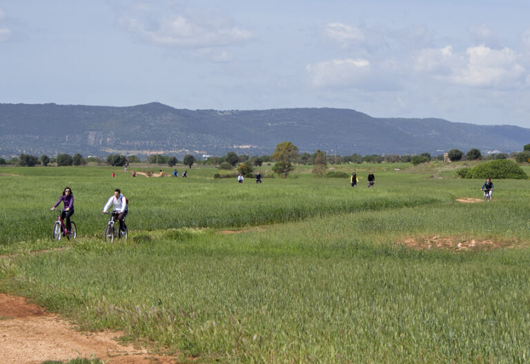 Passeggiate nel Parco delle Dune Costiere per il 'Terra Madre Day' - Osservatorio Fasano
