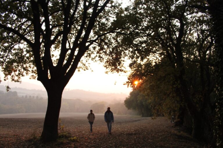 Tanta gente per la passeggiata al tramonto a Cocolicchio - Osservatorio Fasano