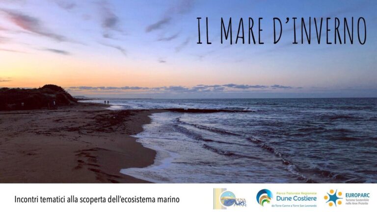 Il Mare d’Inverno Il Mare d'Inverno - Osservatorio Fasano