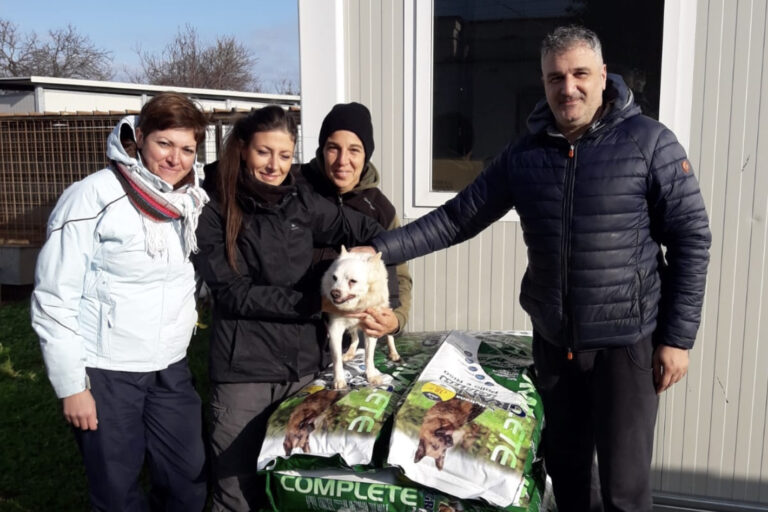 Il Volley Club Il Podio dona cibo al canile di Fasano Il Volley Club Il Podio dona cibo al canile di Fasano - Osservatorio Fasano