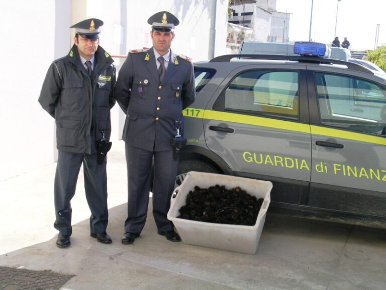 Pesca abusiva di ricci: multati anche due fasanesi Pesca abusiva di ricci: multati anche due fasanesi - Osservatorio Fasano