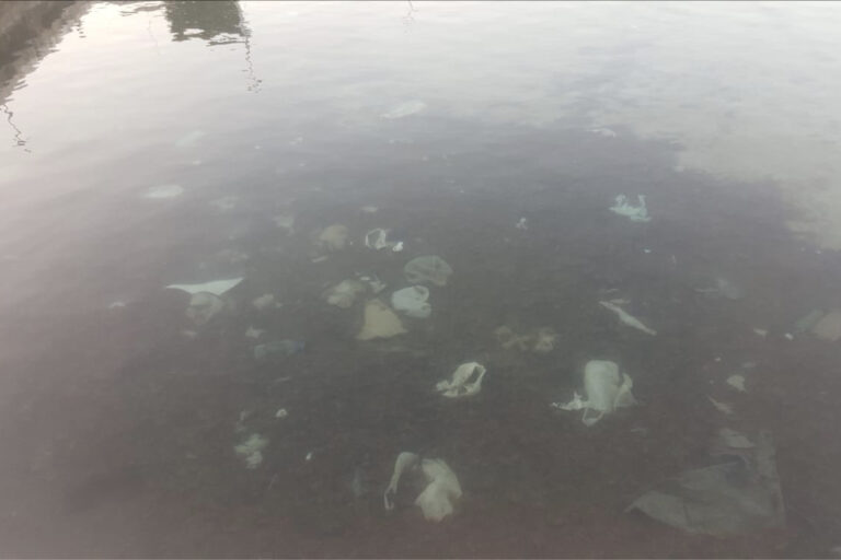 Porto di Savelletri invaso dalla plastica - Osservatorio Fasano
