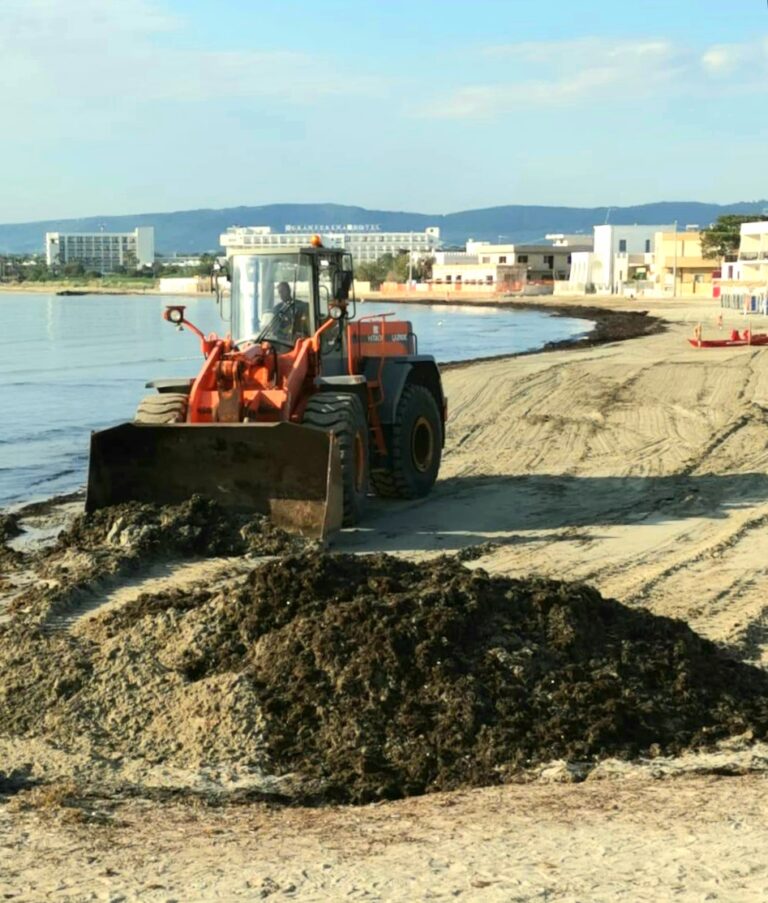 Al via la pulizia delle spiagge per l’estate 2019 Al via la pulizia delle spiagge per l'estate 2019 - Osservatorio Fasano