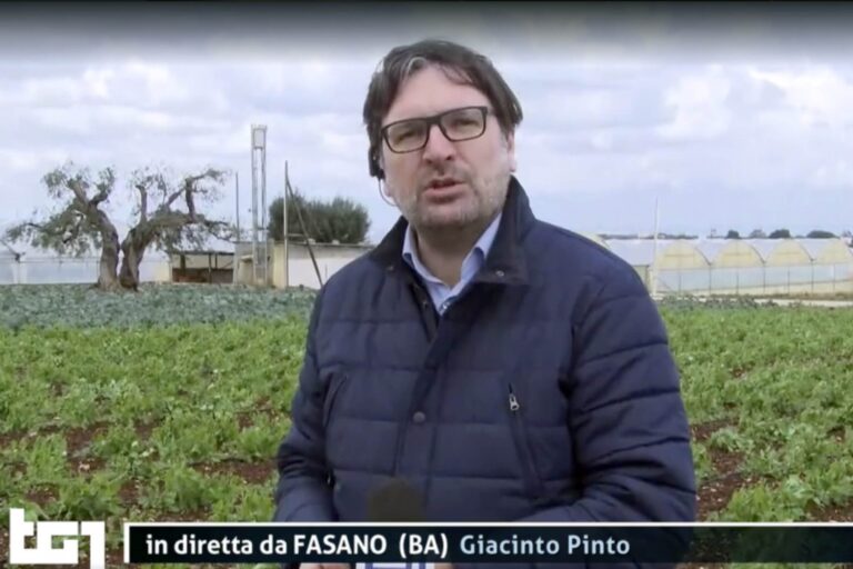 Fasano sul TG1: emergenza per il settore agricolo Fasano sul TG1: emergenza per il settore agricolo - Osservatorio Fasano