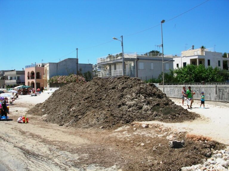 InComune denuncia il degrado tra Torre Canne e Savelletri - Osservatorio Fasano