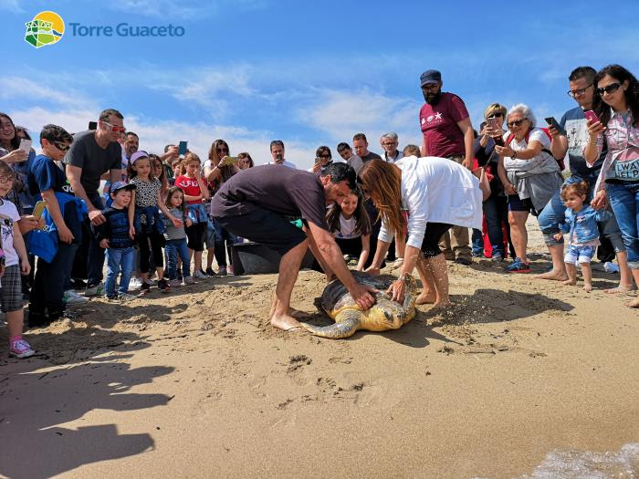 La storia della tartaruga Giorgia: quasi uccisa dalla pesca a strascico e salvata da una bambina La storia della tartaruga Giorgia: quasi uccisa dalla pesca a strascico e salvata da una bambina - Osservatorio Fasano