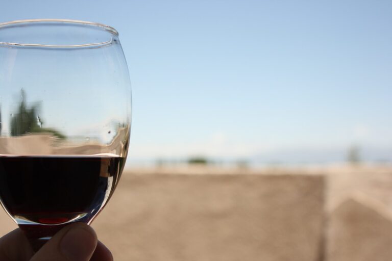 'A Tavola con il Nutrizionista', il Vino come palestra sensoriale - Osservatorio Fasano