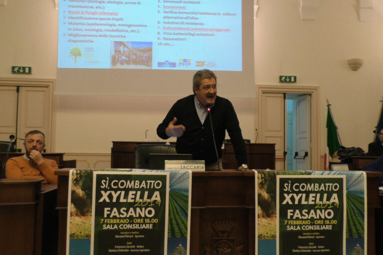 Incontro informativo: Sì, combatto la Xylella VIDEO Incontro informativo: Sì, combatto la Xylella VIDEO - Osservatorio Fasano
