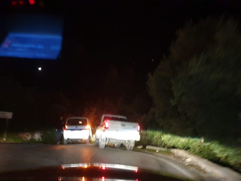 Segnalato un grosso Cervo in fuga dallo Zoo Safari - Osservatorio Fasano