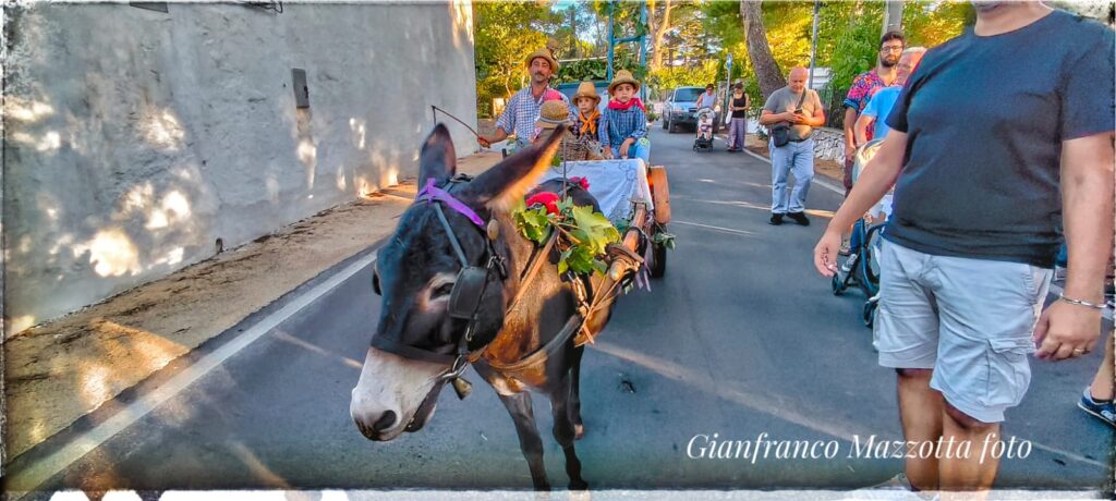 Festa dell'Uva a Selva di Fasano: una tradizione che unisce comunità - Osservatorio Fasano