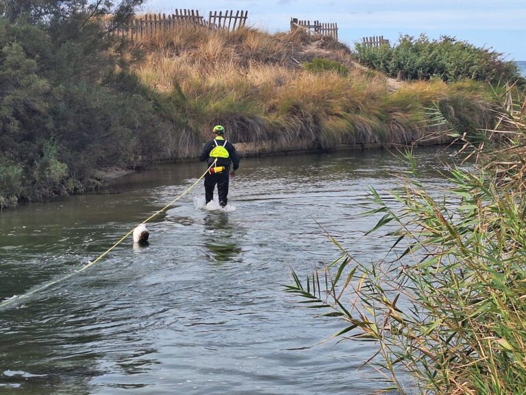 Svolta simulazione di soccorso in scenario alluvionale in ambiente impervio presso il Fiume Morelli - Osservatorio Fasano