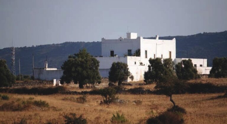 Asta pubblica per l'alienazione di “Masseria Tavernese” - Osservatorio Fasano