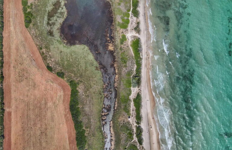 Fasano celebra il rinnovo della Carta Europea del Turismo Sostenibile al Parco delle Dune Costiere - Osservatorio Fasano
