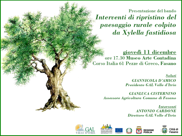 Il paesaggio della Valle d’Itria guarda oltre la Xylella fastidiosa Il paesaggio della Valle d’Itria guarda oltre la Xylella fastidiosa - Osservatorio Fasano