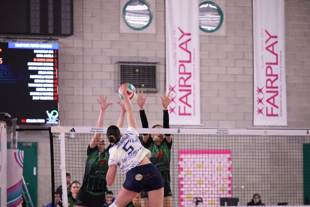 Olio Pantaleo, inizio d’anno da sogno: Offanengo cade sotto i colpi delle "Pantagirls" - Osservatorio Fasano