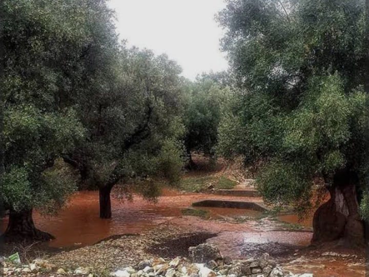 Richiesta al Sindaco e all’Amministrazione Comunale: tutelare i cittadini dalle richieste del Consorzio di Bonifica - Osservatorio Fasano