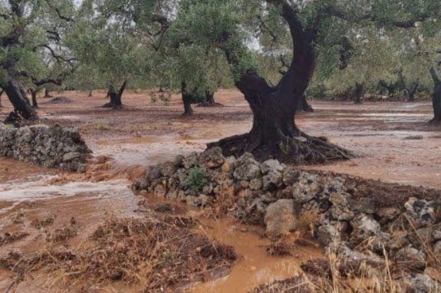 Richiesta al Sindaco e all’Amministrazione Comunale: tutelare i cittadini dalle richieste del Consorzio di Bonifica - Osservatorio Fasano