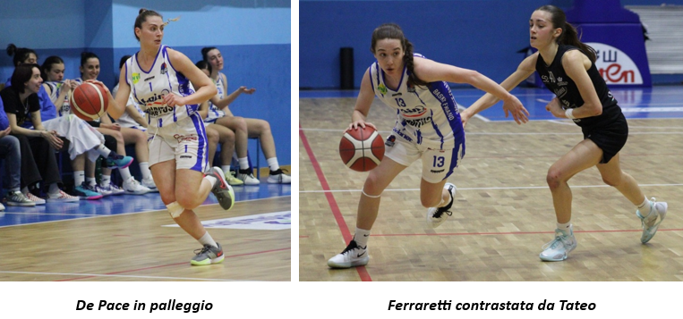 Basket Fasano, vittoria e terzo posto blindato: Campobasso si arrende al PalaTechnoAcque - Osservatorio Fasano