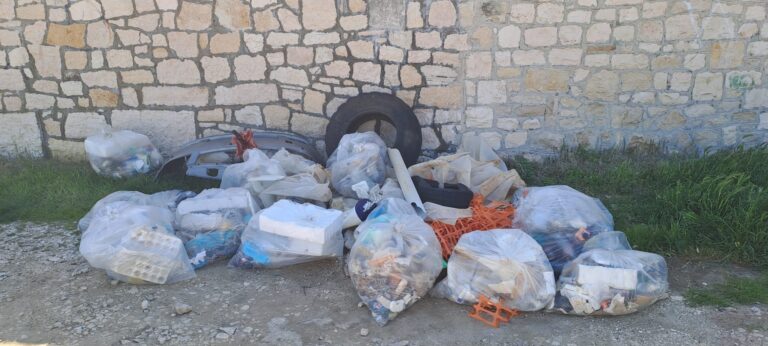 Il Leo Club Fasano scende in campo per l’ambiente: ripulita la litoranea tra Savelletri e Torre Canne - Osservatorio Fasano