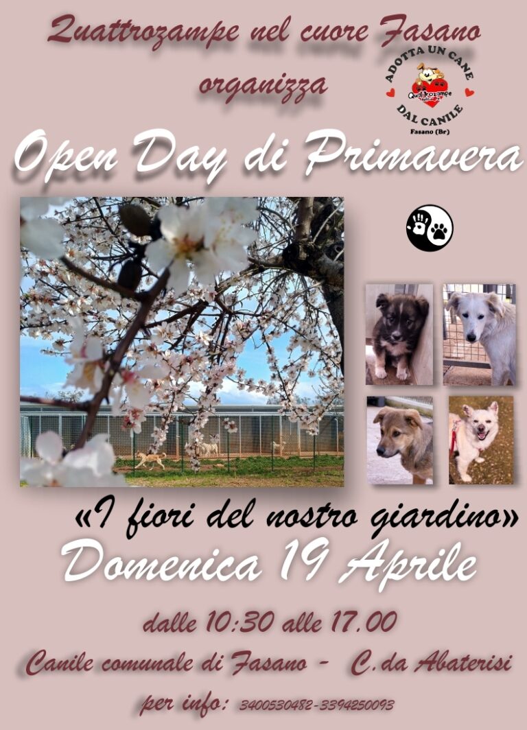 I fiori del nostro giardino: torna l’open day di primavera al canile di Fasano - Osservatorio Fasano