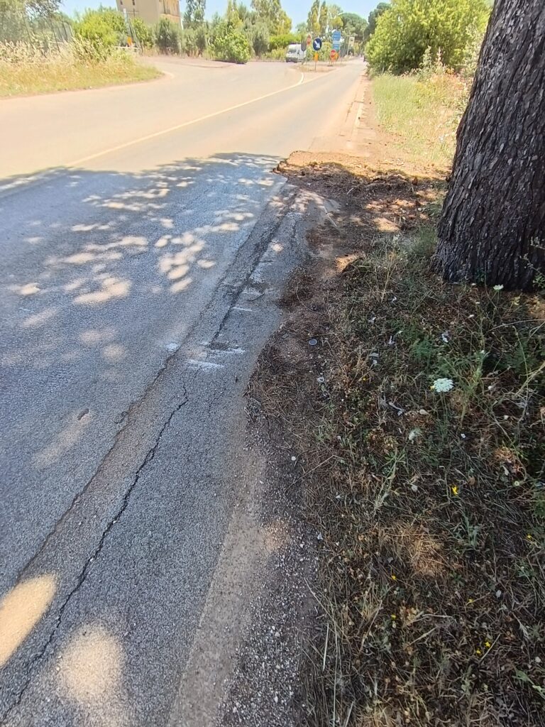 Sicurezza stradale e tutela dei cittadini: presentata mozione sugli alberi lungo le carreggiate comunali. - Osservatorio Fasano Sicurezza stradale e tutela dei cittadini: presentata mozione sugli alberi lungo le carreggiate comunali. - Osservatorio Fasano