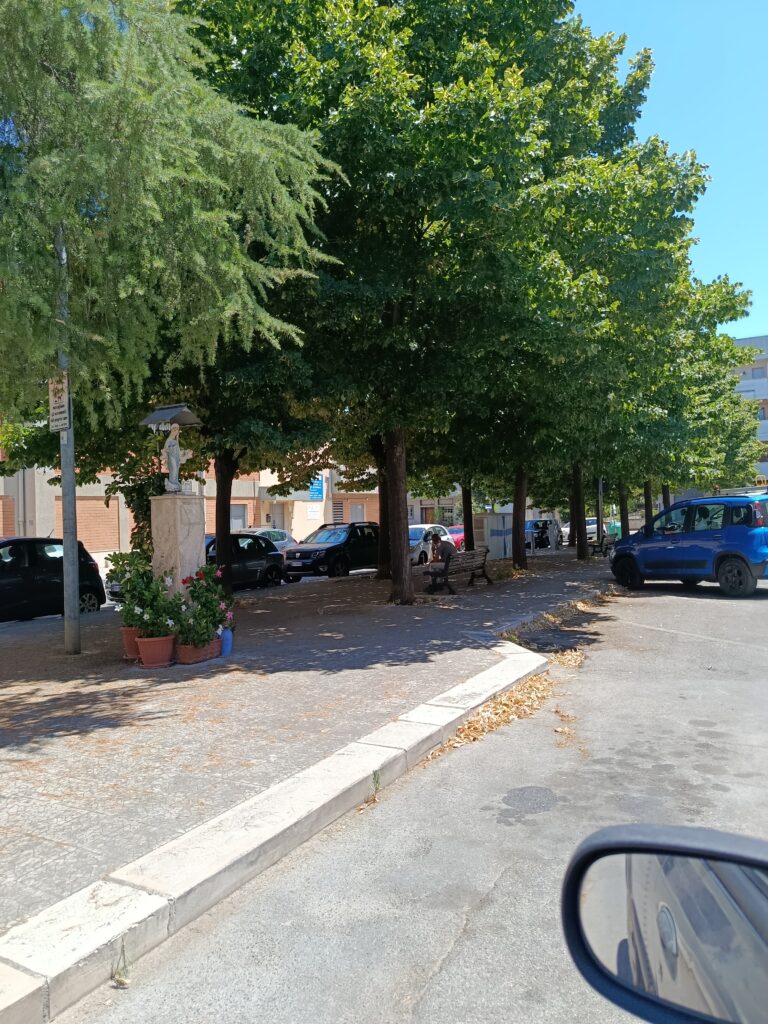 L’Associazione U’mbracchie all’Amministrazione: «Servono acqua e pianificazione per il centro storico e il verde» - Osservatorio Fasano