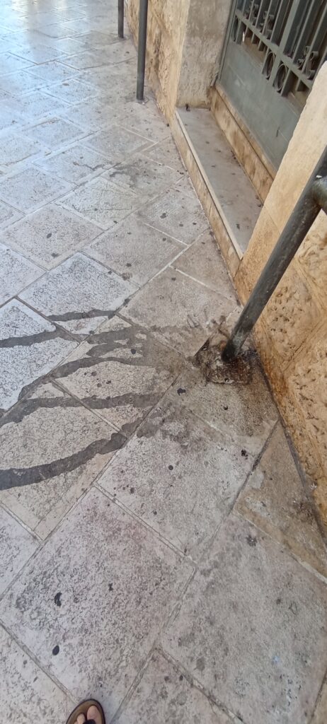 L’Associazione U’mbracchie all’Amministrazione: «Servono acqua e pianificazione per il centro storico e il verde» - Osservatorio Fasano