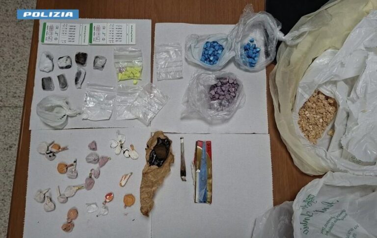 Controlli straordinari al maxi evento house e techno in Valle d'Itria: tre arresti della Polizia - Osservatorio Fasano