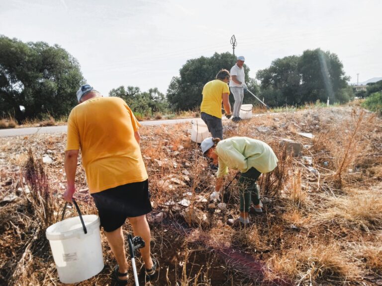 Il Gruppo Artemide non si ferma e ripulisce la strada per lo Zoosafari Il Gruppo Artemide non si ferma e ripulisce la strada per lo Zoosafari - Osservatorio Fasano