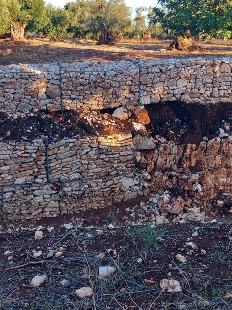 Maltempo a Fasano, danni in città, nelle campagne e nelle aree produttive - Osservatorio Fasano Maltempo a Fasano, danni in città, nelle campagne e nelle aree produttive - Osservatorio Fasano