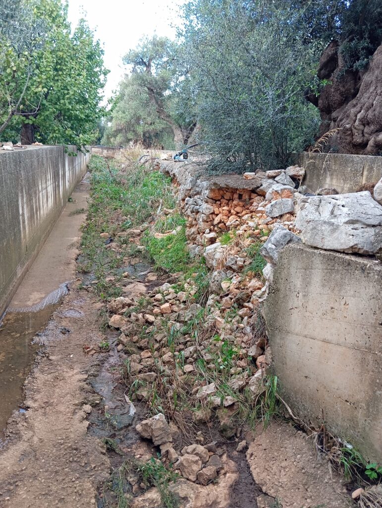 Maltempo a Fasano, danni in città, nelle campagne e nelle aree produttive - Osservatorio Fasano Maltempo a Fasano, danni in città, nelle campagne e nelle aree produttive - Osservatorio Fasano