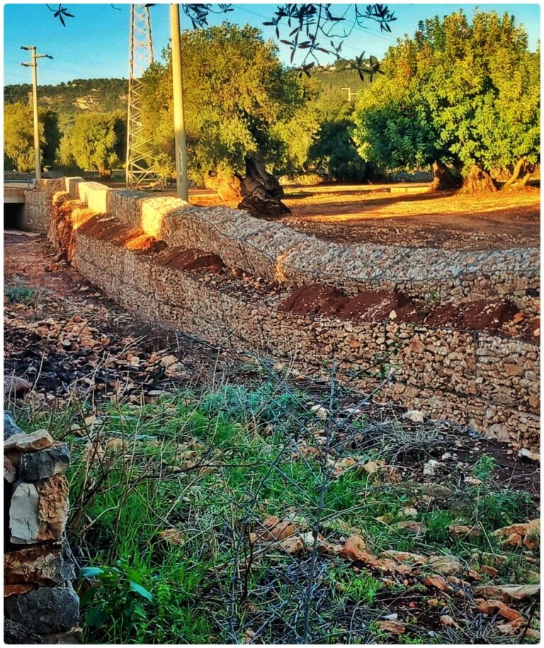 Maltempo a Fasano, danni in città, nelle campagne e nelle aree produttive Maltempo a Fasano, danni in città, nelle campagne e nelle aree produttive - Osservatorio Fasano