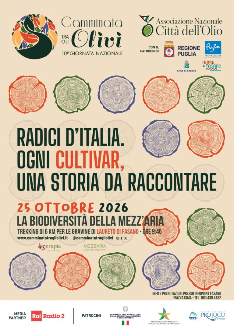 Camminata tra gli Olivi: a Laureto di Fasano torna l’appuntamento tra natura, storia e cultura dell’olio - Osservatorio Fasano